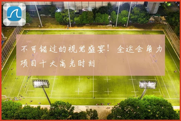 不可错过的视觉盛宴!全运会角力项目十大高光时刻