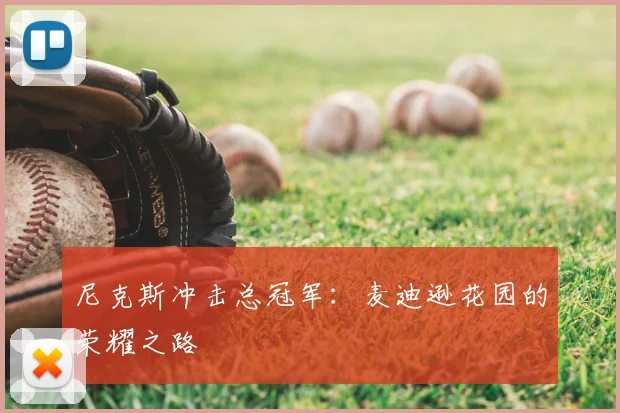 尼克斯冲击总冠军：麦迪逊花园的荣耀之路