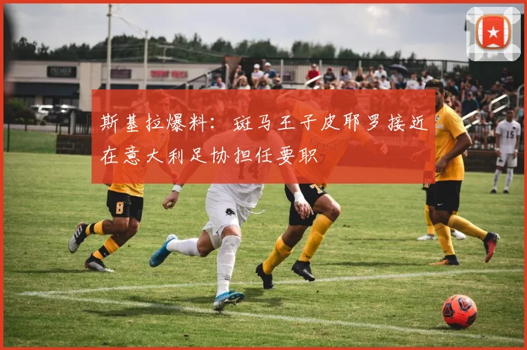 斯基拉爆料：斑马王子皮耶罗接近在意大利足协担任要职