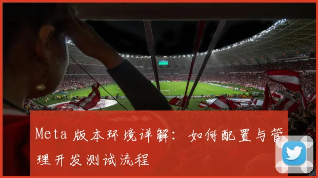 Meta 版本环境详解:如何配置与管理开发测试流程
