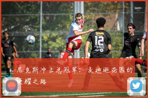 尼克斯冲击总冠军：麦迪逊花园的荣耀之路